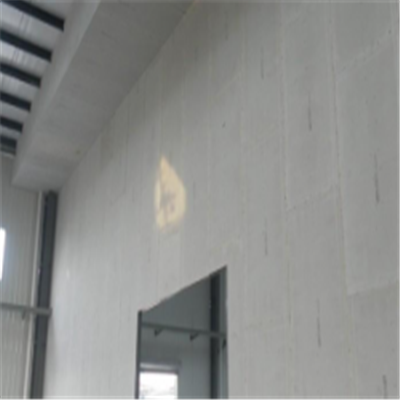 镇雄宁波ALC板|EPS加气板隔墙与混凝土整浇联接的实验研讨